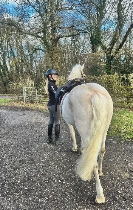 System • Text and Image